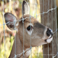 High Tensile Cattle Fence/Hinge Joint Fence/Goat Fence/Fixed Knot Fence/Deer Fence